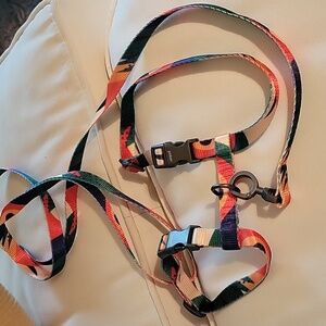 Cat leash with harness